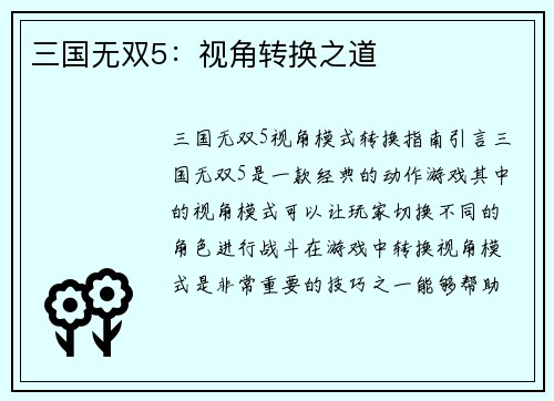 三国无双5：视角转换之道