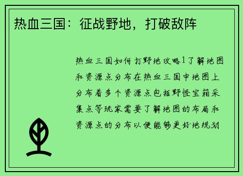 热血三国：征战野地，打破敌阵